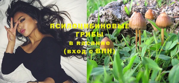 героин Бородино